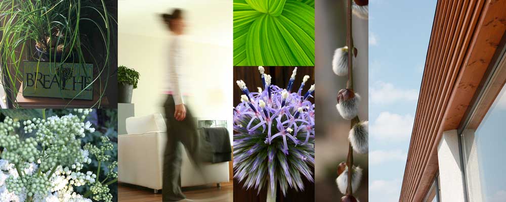 The Natural Health Collective image of The Natural Health Collective